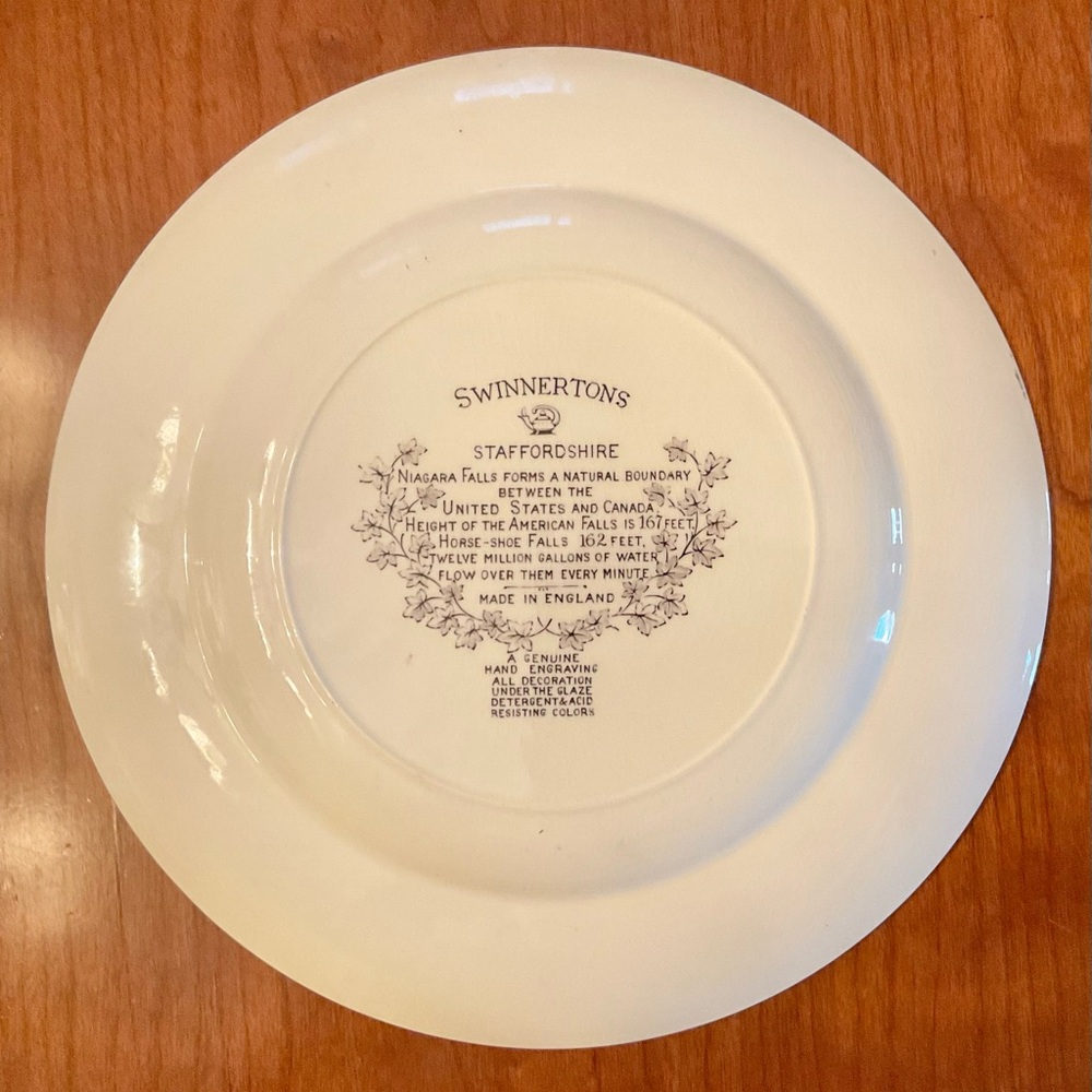 Staffordshire Niagara Falls Plate - Picture 4 of 14